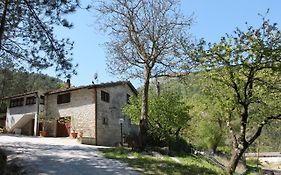 B&B Paradiso